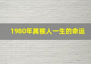 1980年属猴人一生的命运