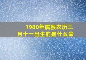 1980年属猴农历三月十一出生的是什么命