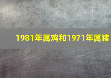 1981年属鸡和1971年属猪