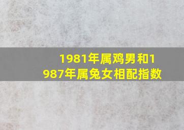 1981年属鸡男和1987年属兔女相配指数