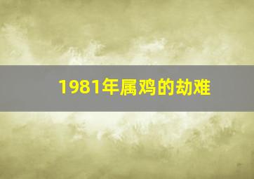 1981年属鸡的劫难