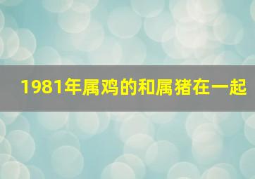 1981年属鸡的和属猪在一起