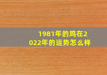 1981年的鸡在2022年的运势怎么样