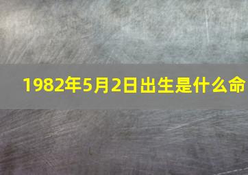 1982年5月2日出生是什么命