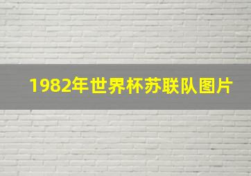 1982年世界杯苏联队图片