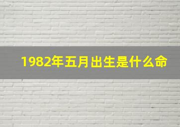 1982年五月出生是什么命