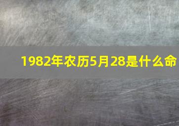 1982年农历5月28是什么命