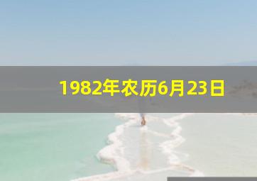 1982年农历6月23日