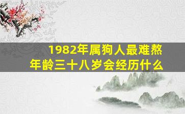 1982年属狗人最难熬年龄三十八岁会经历什么