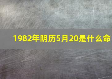 1982年阴历5月20是什么命