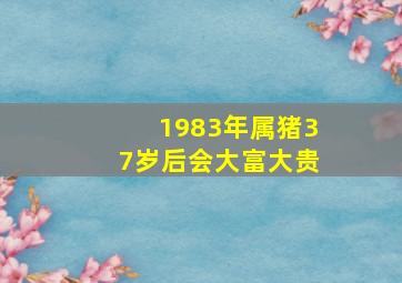 1983年属猪37岁后会大富大贵