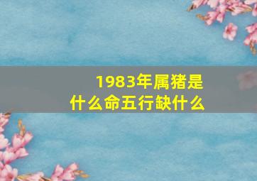 1983年属猪是什么命五行缺什么