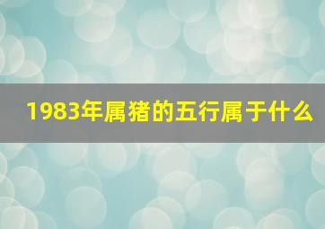 1983年属猪的五行属于什么