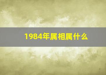 1984年属相属什么