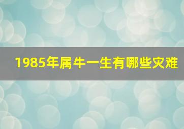 1985年属牛一生有哪些灾难