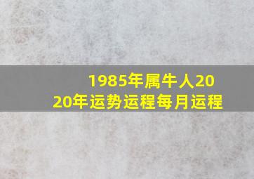 1985年属牛人2020年运势运程每月运程