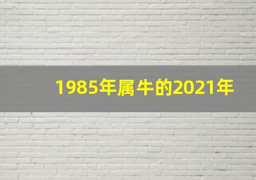 1985年属牛的2021年