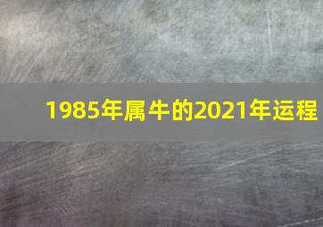 1985年属牛的2021年运程