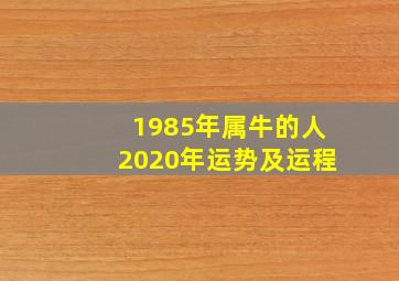 1985年属牛的人2020年运势及运程