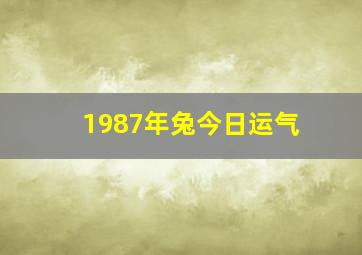 1987年兔今日运气