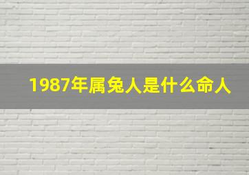 1987年属兔人是什么命人