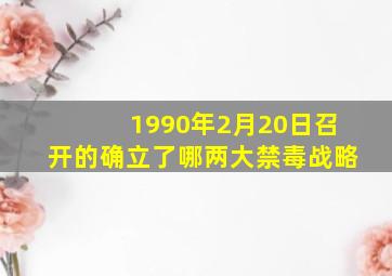 1990年2月20日召开的确立了哪两大禁毒战略