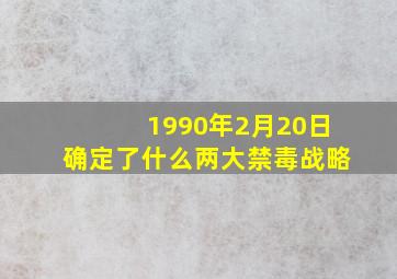 1990年2月20日确定了什么两大禁毒战略