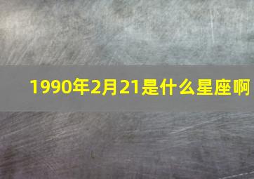 1990年2月21是什么星座啊