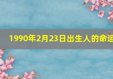 1990年2月23日出生人的命运