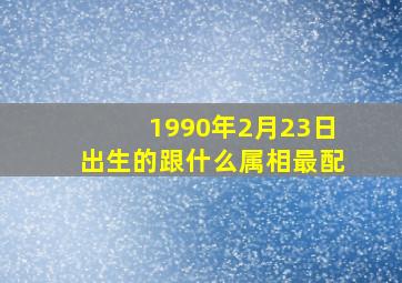 1990年2月23日出生的跟什么属相最配