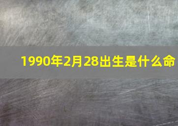 1990年2月28出生是什么命