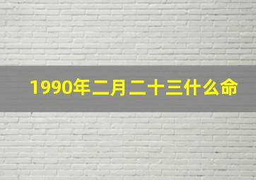 1990年二月二十三什么命