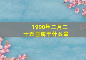 1990年二月二十五日属于什么命