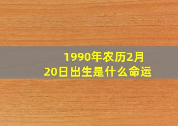 1990年农历2月20日出生是什么命运