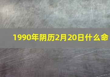 1990年阴历2月20日什么命