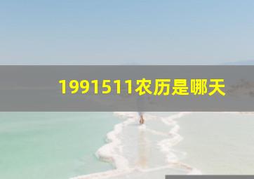 1991511农历是哪天