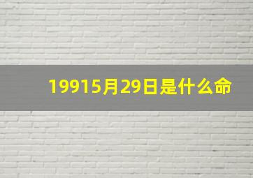 19915月29日是什么命