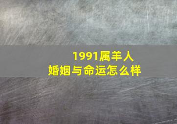 1991属羊人婚姻与命运怎么样