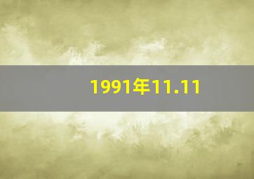 1991年11.11