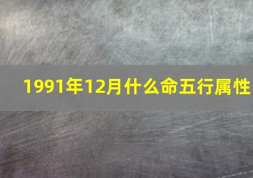 1991年12月什么命五行属性