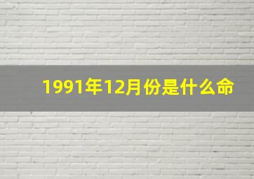 1991年12月份是什么命