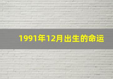 1991年12月出生的命运