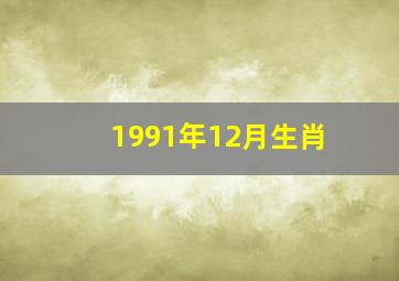 1991年12月生肖