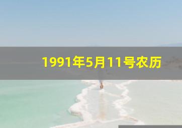 1991年5月11号农历