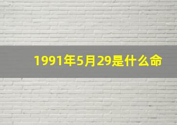 1991年5月29是什么命