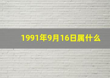 1991年9月16日属什么