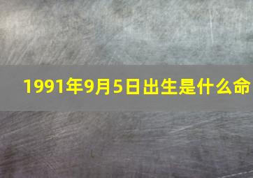 1991年9月5日出生是什么命