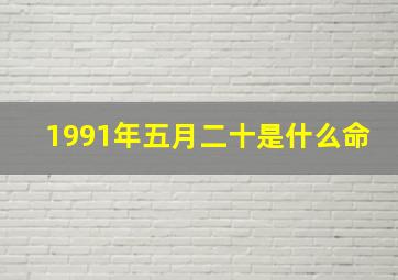 1991年五月二十是什么命