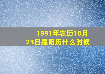 1991年农历10月23日是阳历什么时候