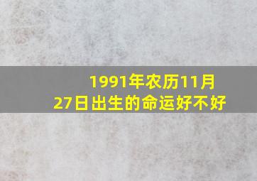 1991年农历11月27日出生的命运好不好